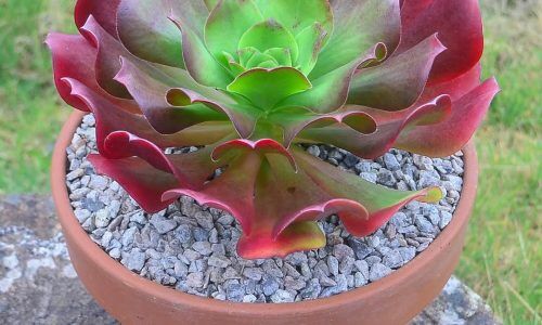 486056630_18452409718078730_3187043712189169907_n