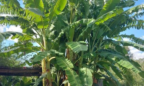 491415252_18499433293054761_1809603973221402763_n