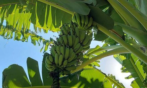 491415328_18499433284054761_3846459017369490319_n