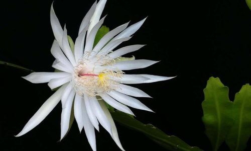 491444601_18496856707005474_183939674921186090_n (1)