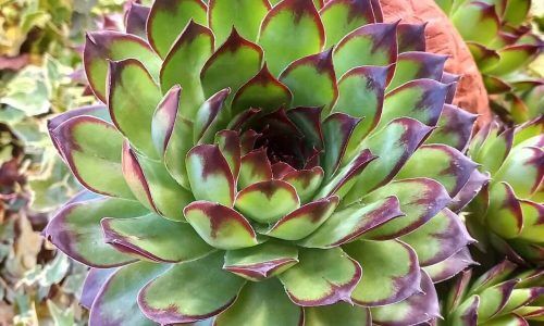 491512989_18123231142431176_116051918905879018_n