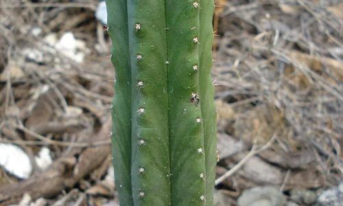 491602436_17978209568824070_1006651294098197452_n (1)