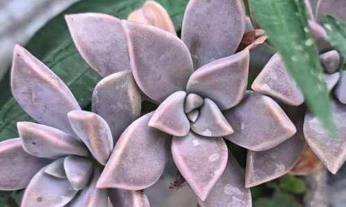 491894476_17902414482159185_6456330597573115708_n