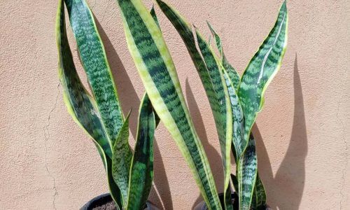 495348409_18322628326200548_5970251477920261372_n