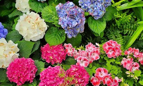 499452081_1242269020806884_2516915376820635177_n