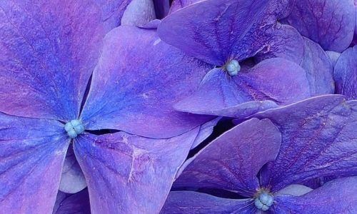 499661047_2729641550575126_3208005430618048746_n