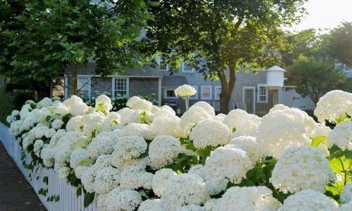 502309059_18518663644041735_2099553043772185173_n (1)