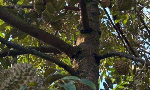 504639262_18061795571241405_8622076146684837904_n (1)