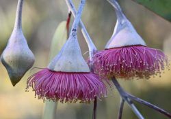 505185365_1693611698183405_3310030175271102438_n