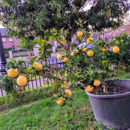 505782251_18314930650228297_7372227403884015246_n (1)