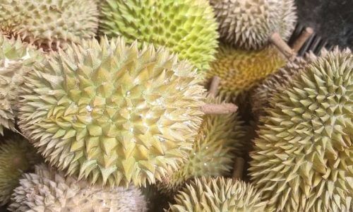 520790972_18088649893680218_305661947148918186_n