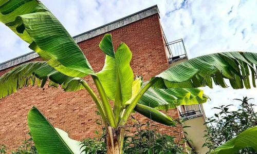 524720763_18074557183983446_3507085422507633182_n (1)