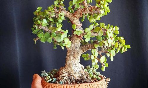 528690655_18414948403099322_2102034544038193301_n