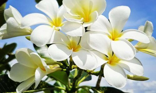 535298141_18317793475208369_5504279859760646430_n