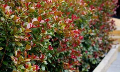 536884336_18172928698351496_8880324535167957537_n