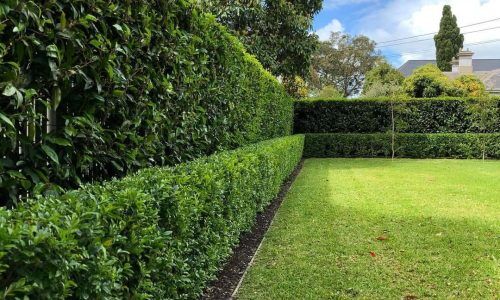 73288629_149477243042479_3657797661418712114_n (1)