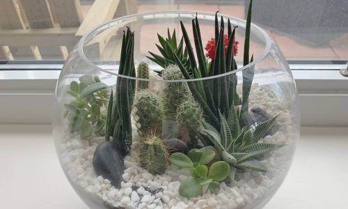 77369664_452482915676623_7226845111222146049_n (1)