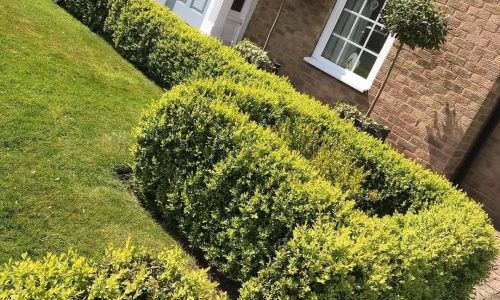 95257655_1154049968307232_1537584138167298153_n (1)