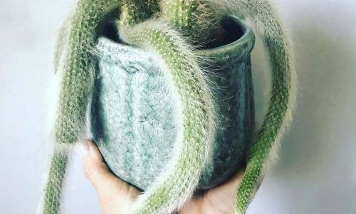 97115548_245458900036325_2875662630829179329_n (1)