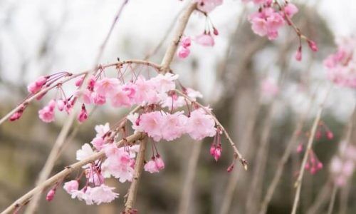 aw-ZiucED8AMfA-unsplash (1)