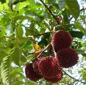 d8e01fa1258247dff027d52cea0d93ee