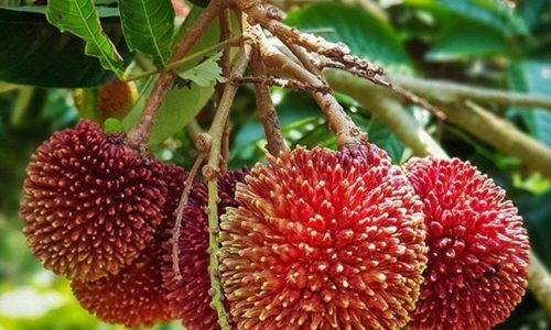 ea26ec62fd1db6b66ad12b0c155cb15b