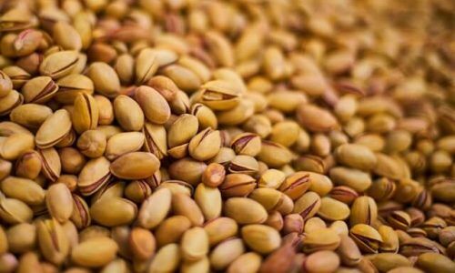 engin-akyurt-VkQJDLEPN3w-unsplash (1)