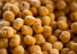 engin-akyurt-aPm7fY0ZSZw-unsplash (1)