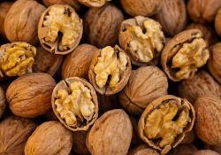 engin-akyurt-tDKsvBRFFKc-unsplash (1)