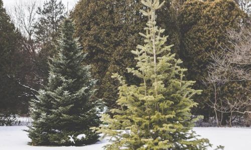 eric-muhr-ZE3AZYDl9O4-unsplash (1)