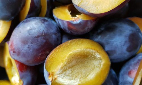 joanna-derks-Jf10qHNMbLk-unsplash (1)