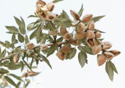 marcia-cripps-reRvcyLJKGg-unsplash (1)