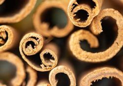 marek-studzinski-22TJLSCQhOk-unsplash (1)