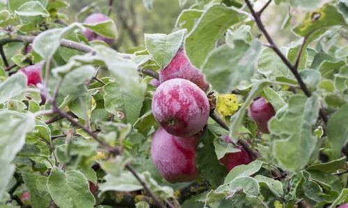 marius-karotkis-lhFtwUJ_tPs-unsplash (1)