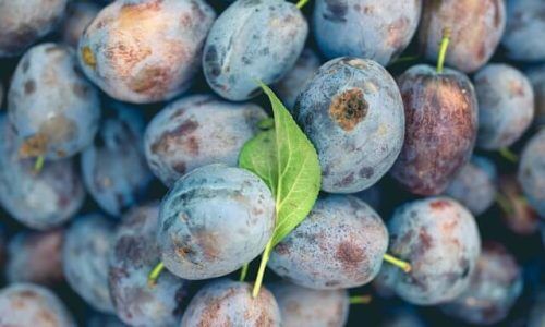 marten-bjork--fQb3wlNlUM-unsplash (1)