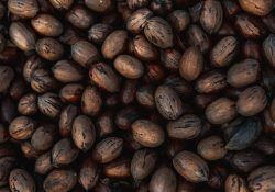 or-hakim-QdBZEmNU6No-unsplash (1)