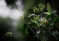 sandy-galabada-k7_IXz2sZ24-unsplash