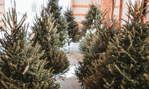 sean-foster-ub2XEhaJhew-unsplash (1)