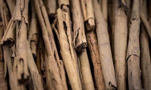 uriel-soberanes-UNIAiCiGm0A-unsplash (1)