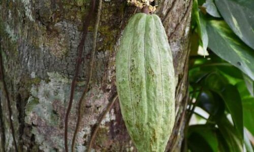 yoel-winkler-y_hrdqiv1Pw-unsplash (1)