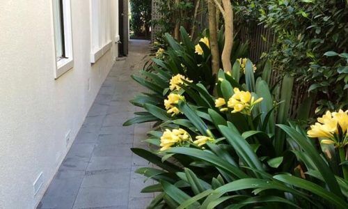 10520412_913327648694843_949728051_n (1)