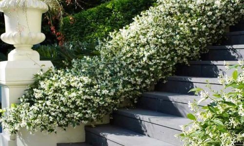 121253623_1285953621737452_8756095019033943992_n (1)