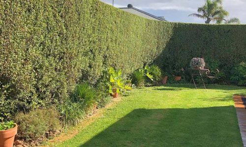 178227761_2642471882717210_1562902497174486170_n (1)