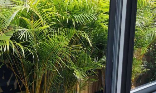 279170416_655484452417554_5634846864612621829_n (1)