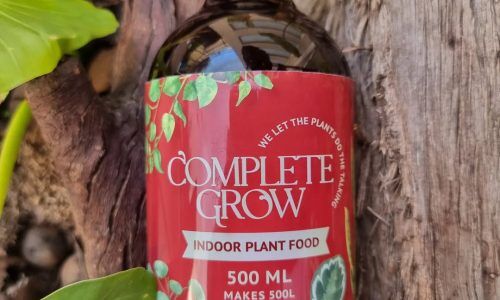 285326969_593580398639170_6086486568394170185_n