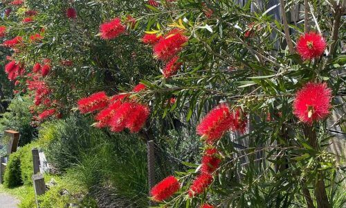 312569952_3279915718886895_503065897133635679_n (1)