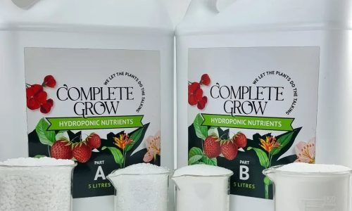 318320284_5959202890797128_2727279675593792884_n (1)