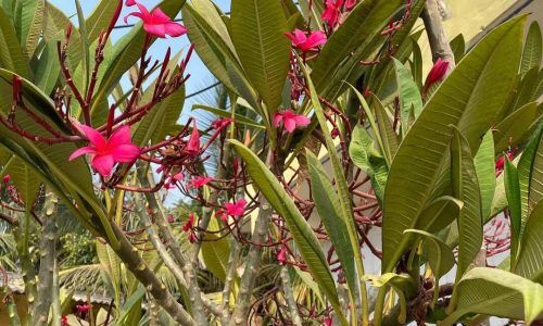 325475853_649181706981408_5122875178121136035_n (1)