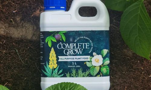 339460169_252468227205464_4362174526000445784_n