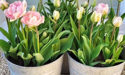 398800394_307401685392899_3445568240427776083_n